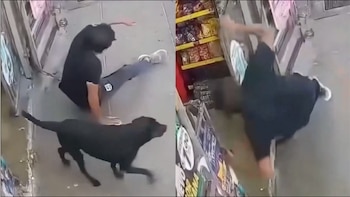 Perro corre a toda velocidad por la banqueta y embiste a peatón: terminó con el brazo fracturado