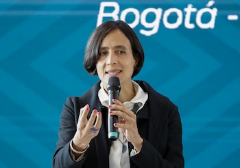 La ministra habría dejado entrever