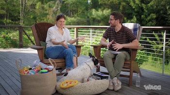 Alexandra Daddario y un hombre sentados en sillas de madera en una terraza. La perra Eunice descansa en un cojín entre ellos. Cesta con juguetes y botella de agua