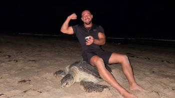 El video que indigna a las redes: influencer se sienta sobre una tortuga marina que ponía huevos en una zona protegida