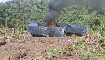 Fiscalía logra destruir 30 campamentos: