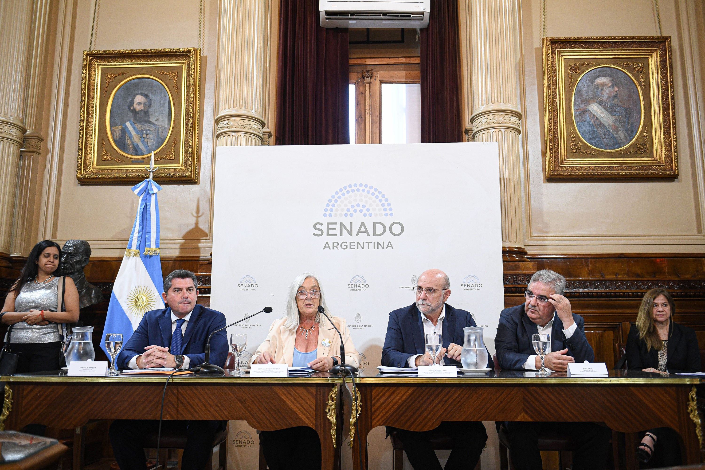 Con un total de 12 votos a favor, el proyecto será debatido en febrero de 2026 (Senado)