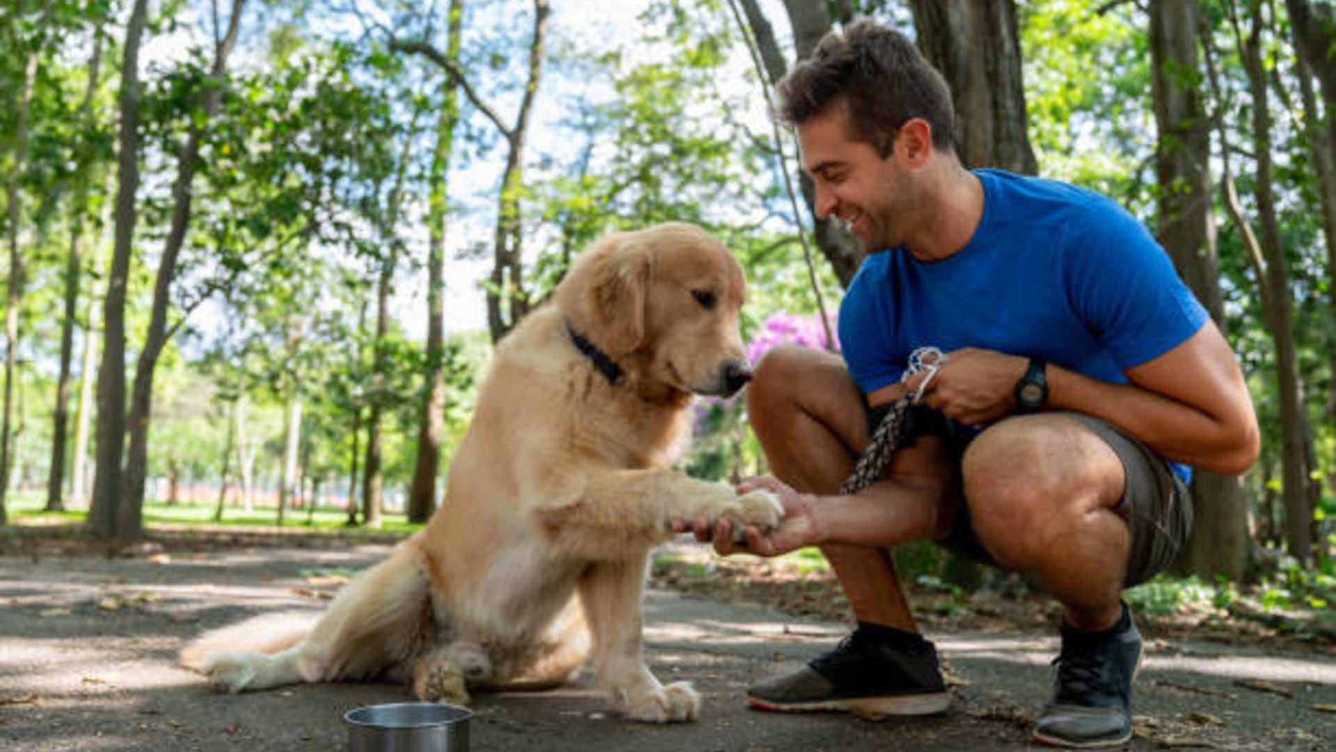Corriendo con causa: carrera con mascotas llega en su primera edición de 2026