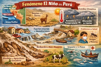 Infografía sobre el Fenómeno El Niño en Perú. Muestra un mapa, tierra seca, inundaciones, un niño con mascarilla y un mosquito, una vaca y pescadores con peces.