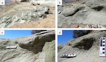 Detalle de una de las