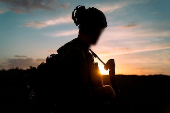 Las Fuerzas de Defensa de