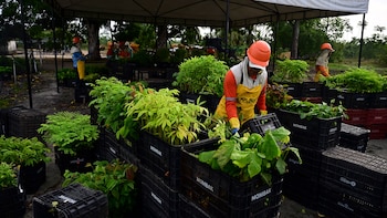 Con respaldo de gigantes como