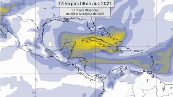 Esta semana comenzaron a llegar