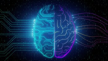 El objetivo es entender mejor