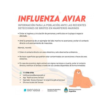 Las recomendaciones del SENASA (Foto: