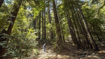 Un movimiento, que no para