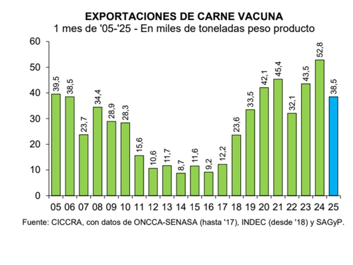 Exportación de carne vacuna: caída en volumen, pero aumentó en los precios en 2025