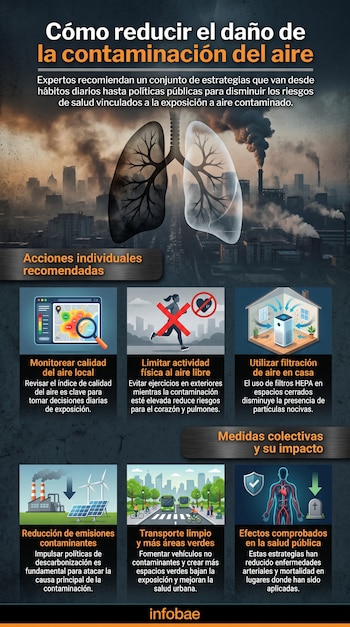 Infografía de estrategias contra contaminación del aire: pulmones, ciudad, monitoreo, actividad física, purificador, emisiones, transporte, ciclistas, salud y tumba.