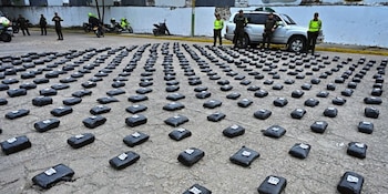 La Policía de Cundinamarca incautó 412 kilos de marihuana en Ricaurte, asestando un duro golpe al narcotráfico en 2026 - crédito Gobernación de Cundinamarca