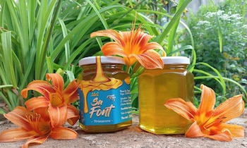 Miel de primavera de Mel