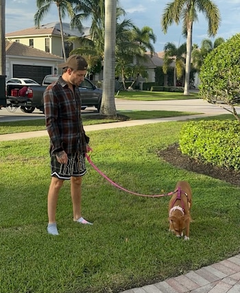 Liam Payne con camisa de cuadros, gorra y pantalones cortos sujeta la correa rosa de un perro sobre el césped de una zona residencial