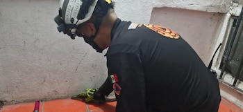 El ejemplar será entregado a