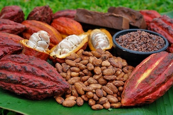 Produce señaló que viene fortaleciendo la cadena cacaotera mediante la participación de sus programas y organismos especializados en el Salón del Cacao y Chocolate Internacional.