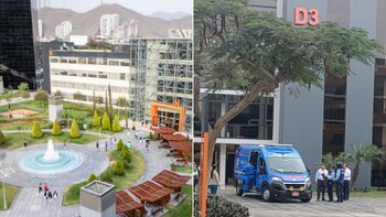 Universidad de Lima dará soporte