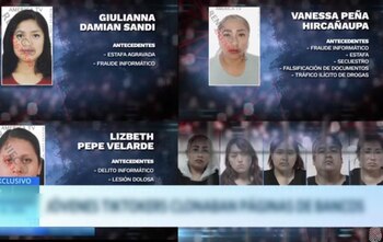 Las Ciberladys, una banda criminal