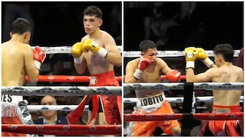 lobito torres -México- 26 septiembre