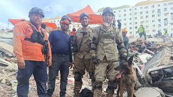 Quién es “Bart”, el perro argentino que ayudó en el rescate de dos niños atrapados entre los escombros en Venezuela
