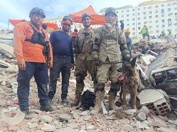 “Bart”, el perro argentino que rescató a dos niños atrapados entre los escombros en Venezuela