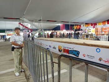 Se repartieron aproximadamente 8.000 porciones de un king kong gigante de 1.300 kilos, 12 metros de largo y un metro de ancho. Difusión