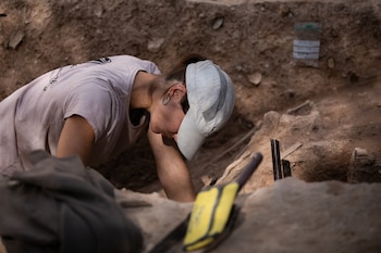 Trabajos de exhumación del programa Alvah Bessie (Generalitat)