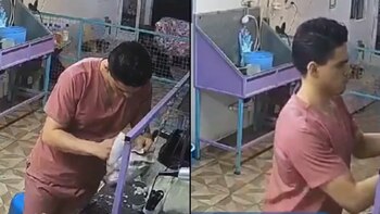 Cámaras de seguridad captan nuevo