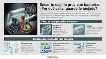 Infografía sobre cepillos de dientes y bacterias, muestra un cepillo mojado, microbios, fundas, un calendario y los logos de ADA, CDC y NHS.