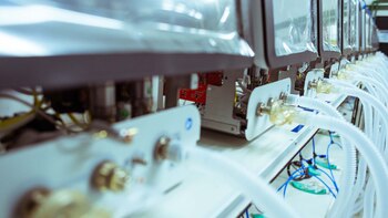 La producción estimada será de