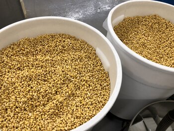 La harina y el aceite