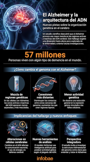 Infografía con cabeza humana y cerebro, hélices de ADN, texto sobre Alzheimer, número 57 millones. Seis iconos que ilustran conceptos de investigación genética.
