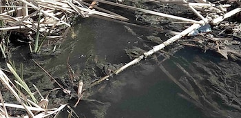 Fango provocado por los vertidos