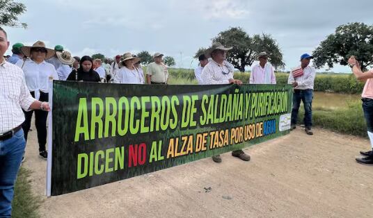 Las importaciones de arroz, según Fedearroz, afectan especialmente a pequeños y medianos productores en varias regiones del país - crédito Colombia Oscura