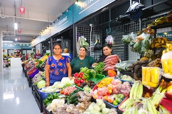Los pisos cuentan con recubrimiento epóxico ultrarresistente y el techo es termoacústico para reducir el ruido y el calor.