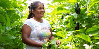 Los técnicos de Resilientes diseñaron