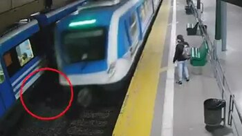 Robo y sorpresivo intento de escape de un delincuente en el tren Roca: se metió por debajo de dos vagones