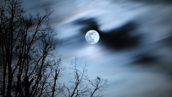 Luna llena de febrero 2026: