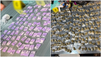 Droga asegurada en el cateo de la colonia Doctores. Crédito: SSC