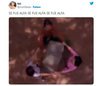 Los memes contra Alfa
