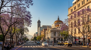 Vista de una calle con jacarandás morados en flor, Palacio de Bellas Artes y Torre Latinoamericana, personas y tráfico bajo un cielo azul despejado.
