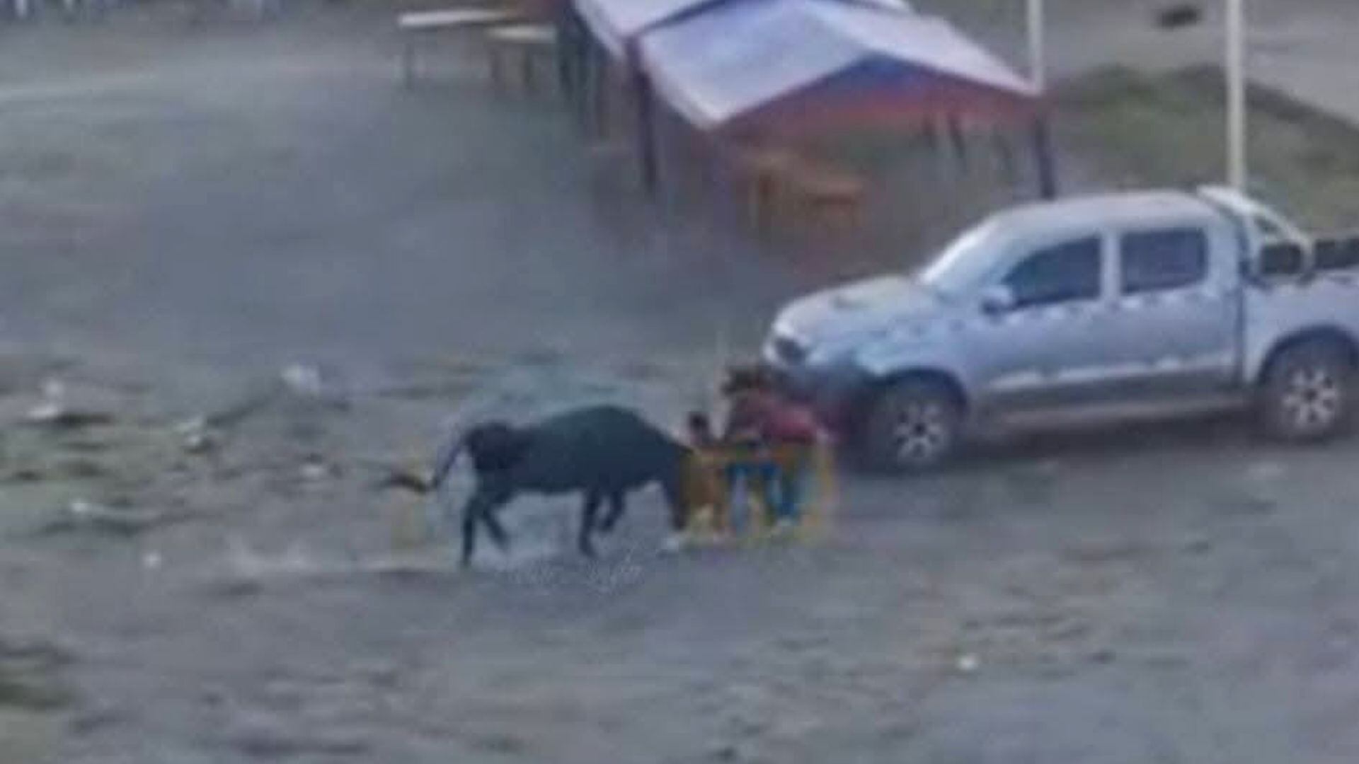Toro se escapa y embiste a niño en corrida en Áncash: menor terminó en el hospital - 24 Horas