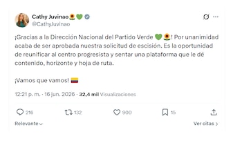 Cathy Juvinao celebró decisión del partido Alianza Verde