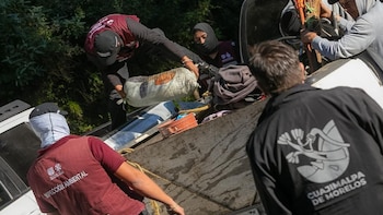 Operativo tala clandestina Cuajimalpa Seguridad