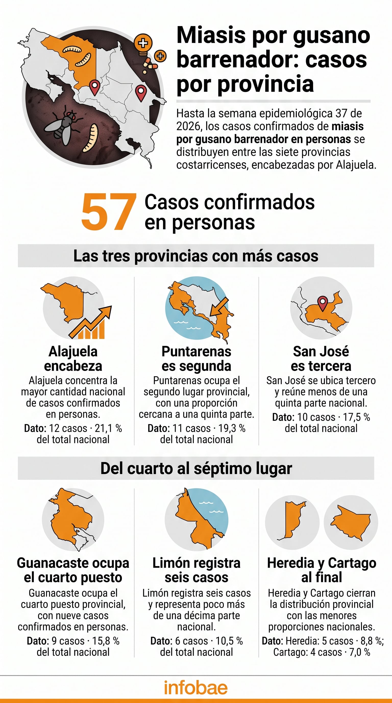 Una infografía detalla la distribución de los 57 casos confirmados de miasis por gusano barrenador en seres humanos en las siete provincias de Costa Rica, encabezadas por Alajuela. (Imagen Ilustrativa Infobae)
