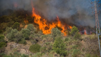Expertos proponen impulsar la gestión de montes con mejoras fiscales y ayuda de empresas para luchar contra el fuego