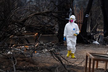 Bomberos permanecen en áreas montañosas donde aún persisten focos aislados tras semanas de combate contra el fuego. (REUTERS/Mike Blake)