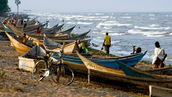 HRW: Los activistas medioambientales contrarios